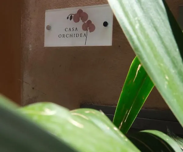 Casa Orchidea Historic Center